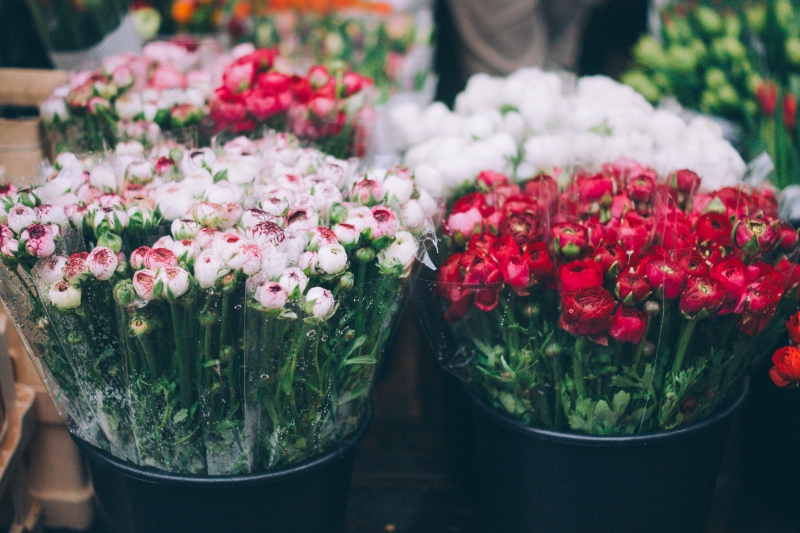 fleuriste-ROQUEBILLIERE-min_farmers-market-1209712